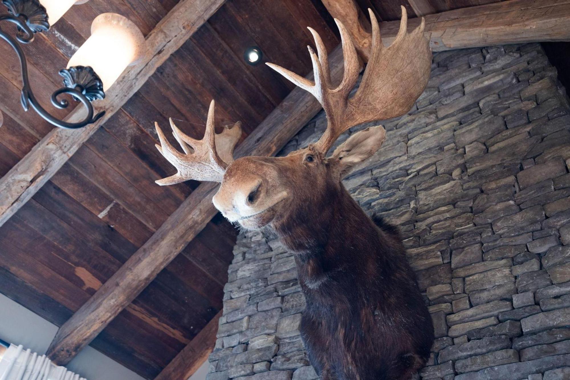 Nashville - 4032 Coles Ferry Pike - Luxe 莱巴嫩 外观 照片